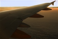 Javier de la Cruz - CANARY ISLANDS SPOTTING. Click to see full size photo