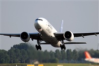 Rodrigo Carvalho - Noisy Spotters. Click to see full size photo