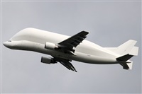 LEBL Spotter. Click to see full size photo