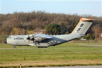 Rodrigo Carvalho - Noisy Spotters. Click to see full size photo