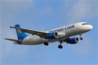 Luciano Fumero( freedom spotter)canary island spotting. Click to see full size photo