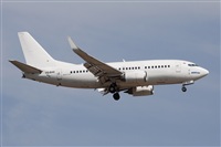 Miguel Alia - Noisy Spotters. Click to see full size photo