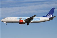 Miguel Alia - Noisy Spotters. Click to see full size photo
