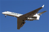 Adrin Alonso Lemes - Lanzarote Spotters. Click to see full size photo