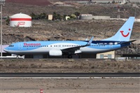 ©Alfonso Solís - Asociación Canary Islands Spotting. Click to see full size photo ©Alfonso Solís - Asociación Canary Islands Spotting. Click to see full size photo