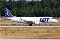 Javier de la Cruz - CANARY ISLANDS SPOTTING. Click to see full size photo