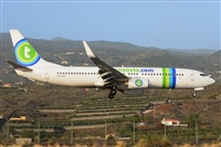 Miguel A. gueda Rguez.  (CANARY ISLANDS SPOTTING). Click to see full size photo