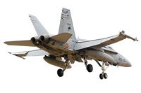 Paco Muoz Arencibia - Gran Canaria Spotters. Click to see full size photo
