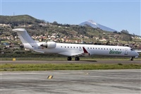 Ayoze Santana Mendez - Canary Islands Spotting. Click to see full size photo