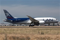 Bartolom Fernndez - Gran Canaria Spotters. Click to see full size photo