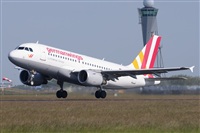 Miguel A. gueda Rguez.  (CANARY ISLANDS SPOTTING). Click to see full size photo