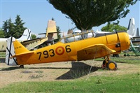 Manuel Fernandez. Click to see full size photo