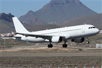©Alfonso Solís - Asociación Canary Islands Spotting. Click to see full size photo ©Alfonso Solís - Asociación Canary Islands Spotting. Click to see full size photo
