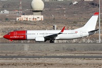 ©Alfonso Solís - Asociación Canary Islands Spotting. Click to see full size photo ©Alfonso Solís - Asociación Canary Islands Spotting. Click to see full size photo