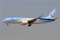 Miguel A. gueda Rguez.  (CANARY ISLANDS SPOTTING). Haz click para ampliar