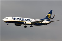 Nacho Rodriguez - Canary Islands Spotting. Click to see full size photo
