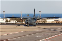 Florencio Martn Melin - Lanzarote Spotters. Click to see full size photo