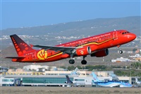 Miguel A. gueda Rguez.  (CANARY ISLANDS SPOTTING). Click to see full size photo