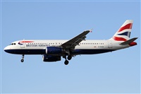 Alfonso Sols - Asociacin Canary Islands Spotting. Click to see full size photo