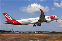 Fabio Duarte - Manaus Spotting Team. Click to see full size photo