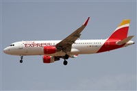 ©Alfonso Solís - Asociación Canary Islands Spotting. Click to see full size photo ©Alfonso Solís - Asociación Canary Islands Spotting. Click to see full size photo