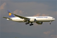 Miguel A. gueda Rguez.  (CANARY ISLANDS SPOTTING). Click to see full size photo