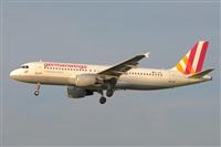 Miguel A. gueda Rguez.  (CANARY ISLANDS SPOTTING). Click to see full size photo