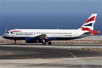 Alfonso Sols - Asociacin Canary Islands Spotting. Haz click para ampliar