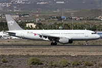 ©Alfonso Solís - Asociación Canary Islands Spotting. Click to see full size photo ©Alfonso Solís - Asociación Canary Islands Spotting. Click to see full size photo