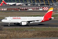 Alfonso Sols - Asociacin Canary Islands Spotting. Click to see full size photo