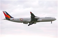 Miguel A. gueda Rguez.  (CANARY ISLANDS SPOTTING). Click to see full size photo
