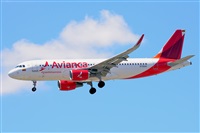 Miguel A. gueda Rguez.  (CANARY ISLANDS SPOTTING). Click to see full size photo