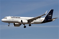 Alfonso Sols - Asociacin Canary Islands Spotting. Click to see full size photo