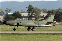 Tams. Click to see full size photo