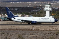 Alfonso Sols - Asociacin Canary Islands Spotting. Click to see full size photo