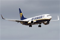 Alfonso Sols - Asociacin Canary Islands Spotting. Click to see full size photo