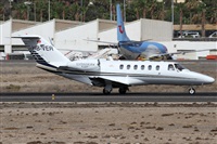 Alfonso Sols - Asociacin Canary Islands Spotting. Click to see full size photo