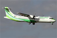 ©Alfonso Solís - Asociación Canary Islands Spotting. Click to see full size photo ©Alfonso Solís - Asociación Canary Islands Spotting. Click to see full size photo