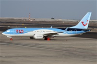 ©Alfonso Solís - Asociación Canary Islands Spotting. Click to see full size photo ©Alfonso Solís - Asociación Canary Islands Spotting. Click to see full size photo