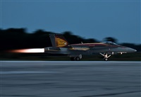 Rod Dermo. Click to see full size photo