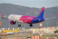 Miguel A. gueda Rguez.  (CANARY ISLANDS SPOTTING). Click to see full size photo
