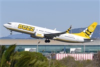 Miguel A. gueda Rguez.  (CANARY ISLANDS SPOTTING). Click to see full size photo