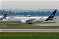 ©Adolfo Bento - Gran Canaria Spotters. Click to see full size photo ©Adolfo Bento - Gran Canaria Spotters. Click to see full size photo