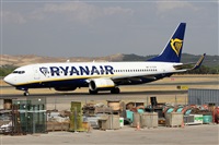 Alfonso Sols - Asociacin Canary Islands Spotting. Click to see full size photo