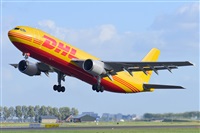 Miguel A. gueda Rguez.  (CANARY ISLANDS SPOTTING). Click to see full size photo