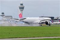 Miguel A. gueda Rguez.  (CANARY ISLANDS SPOTTING). Click to see full size photo