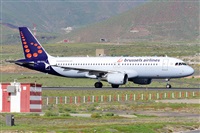 Miguel A. gueda Rguez.  (CANARY ISLANDS SPOTTING). Click to see full size photo