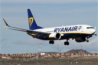 ©Alfonso Solís - Asociación Canary Islands Spotting. Click to see full size photo ©Alfonso Solís - Asociación Canary Islands Spotting. Click to see full size photo