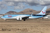 ©Florencio Martín Melián - Lanzarote Spotters. Click to see full size photo ©Florencio Martín Melián - Lanzarote Spotters. Click to see full size photo