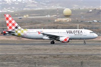 Miguel A. gueda Rguez.  (CANARY ISLANDS SPOTTING). Click to see full size photo